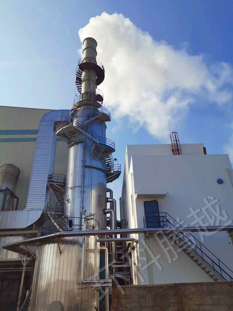 国能鹿邑生物发电有限公司 (1).jpg